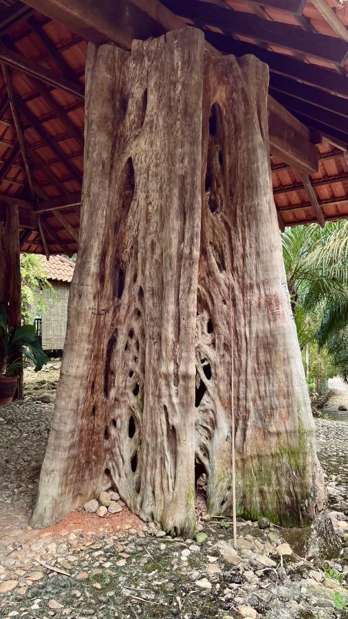 Sahom Valley Resort Jeram  Екстериор снимка